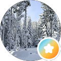 Reviewer Image